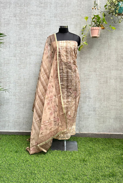 Brown Organza with Embroidery Work